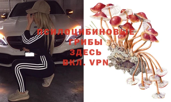 кокаин премиум Алексин